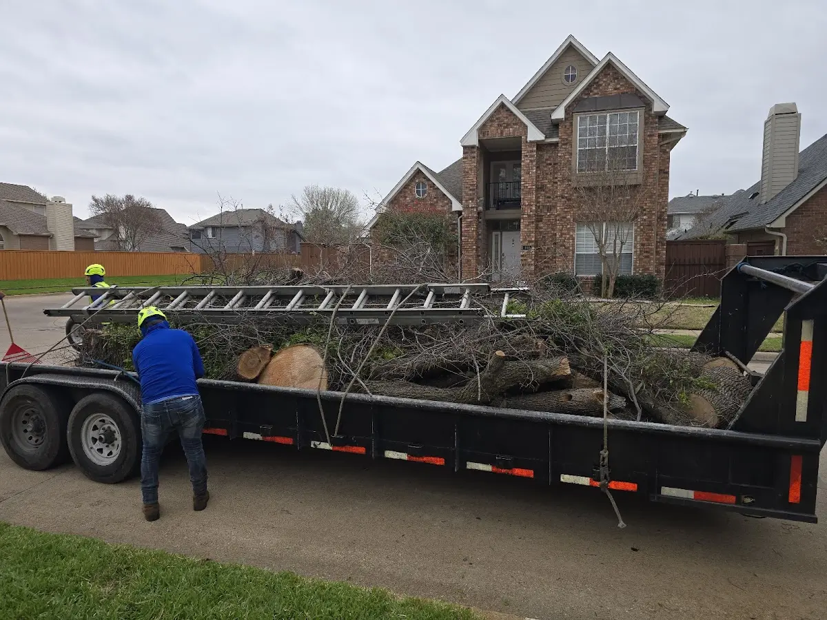 Expert Crown Reduction with proper safety equipment in Mayville